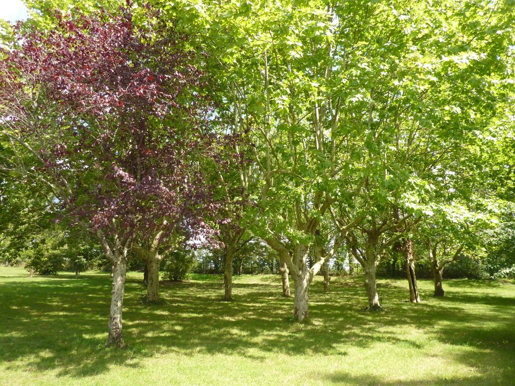 Hôtel Camping Parc du Château d'Allot à Boé Extérieur photo